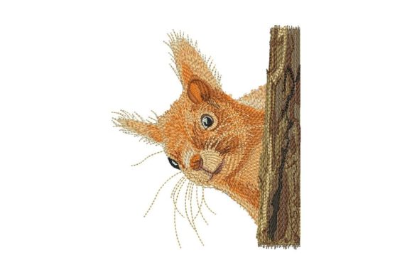 Squirrel Embroidery Design Review for Small Business Branding